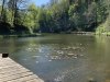 IMG_0078